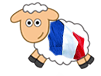 french_lullabyland_sheep